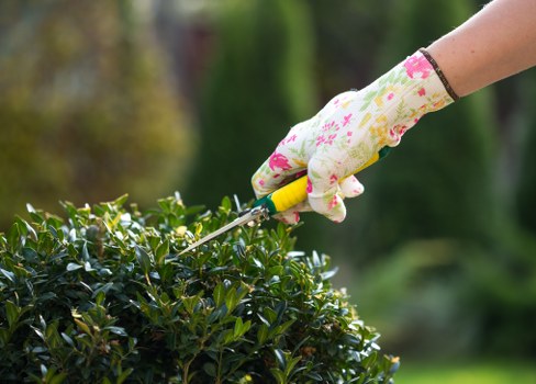 Team at work trimming a hedge in Camberwell