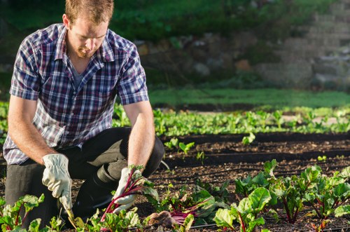 Supervisor conducting a supplier audit at a hedge trimming site