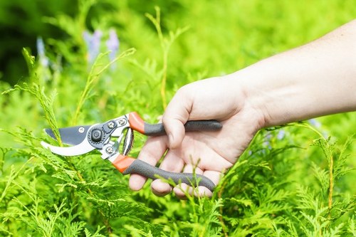 PPE laid out including helmets, gloves and hi-vis used for hedge trimming